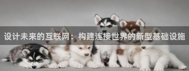 有玩天狮娱乐
