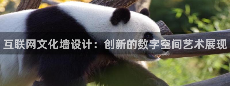 天狮娱乐官方网站下载