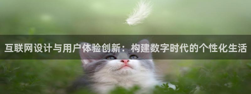 天狮娱乐负责人