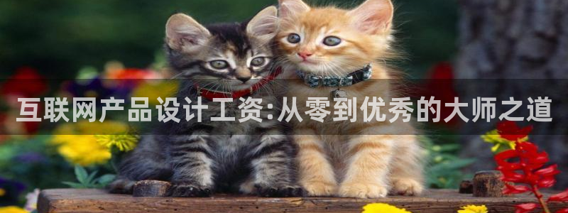 天狮娱乐怎样玩