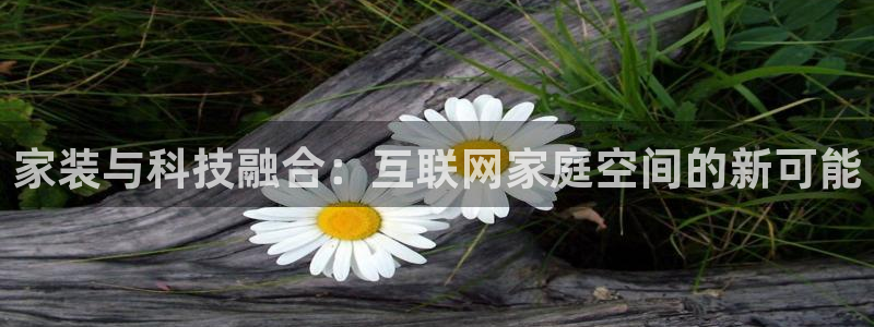 天狮娱乐平台代理