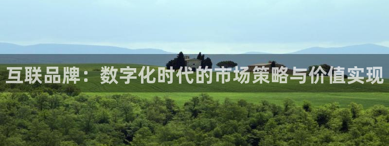 天狮娱乐专线