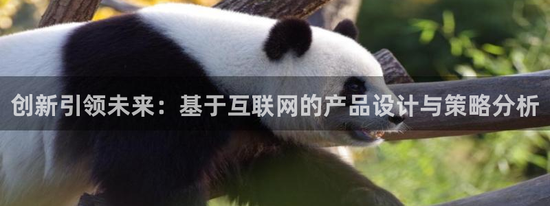 天狮娱乐登录官网平台：创新引领