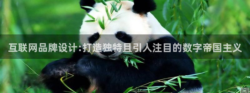 天狮娱乐电脑版