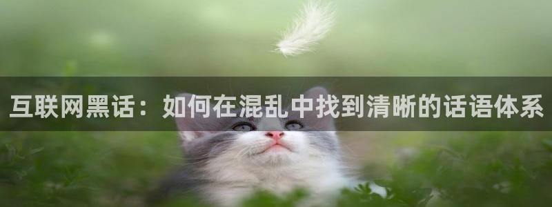 石家庄天狮娱乐会所：互联网黑话