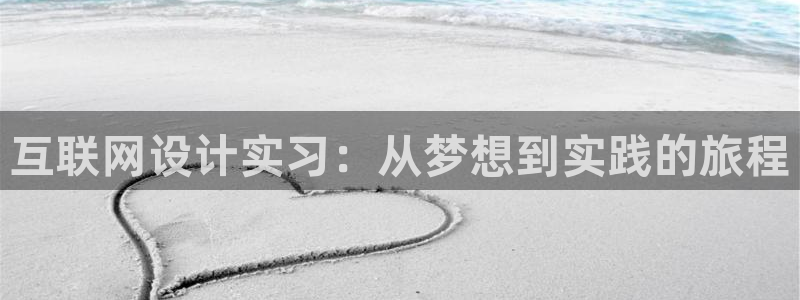 天狮娱乐首页：互联网设计实习：