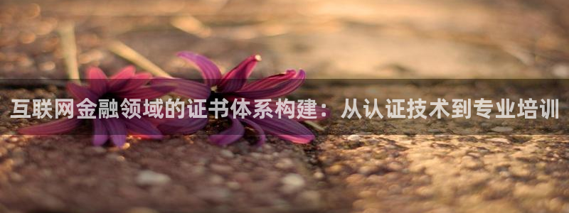天狮娱乐是私人平台吗：互联网金
