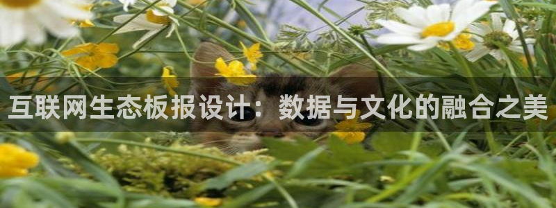 天狮娱乐 a招商60447