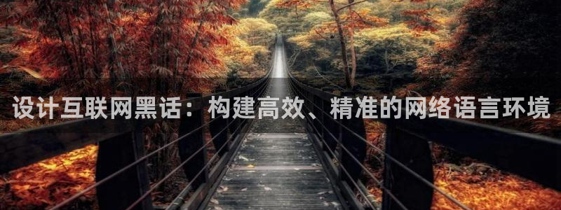 天狮娱乐代理是谁：设计互联网黑