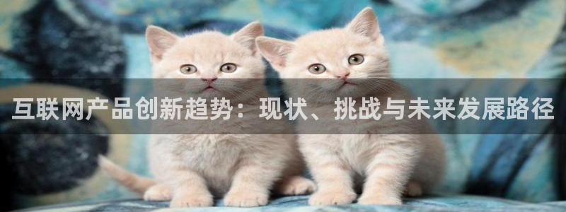 天狮娱乐注册开户：互联网产品创