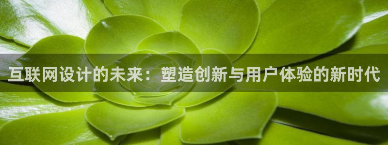 天狮娱乐q39096s：互联网
