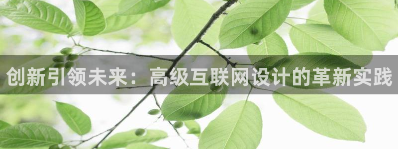 天狮娱乐下载