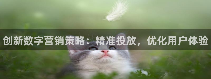 天狮娱乐叶哥