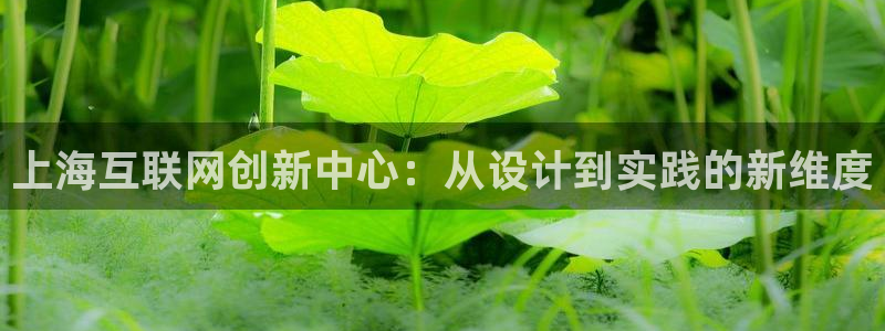 天狮娱乐嘉扣 o