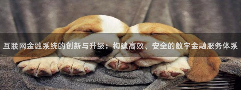 天狮娱乐950594：互联网金