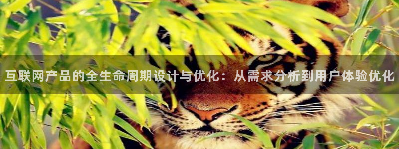天狮娱乐 招商