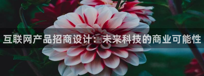 天狮娱乐q 找108306