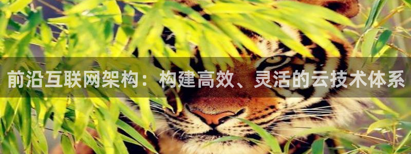 天狮娱乐炔wx15 net