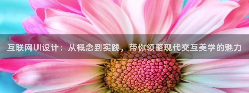 天狮娱乐来0 1311