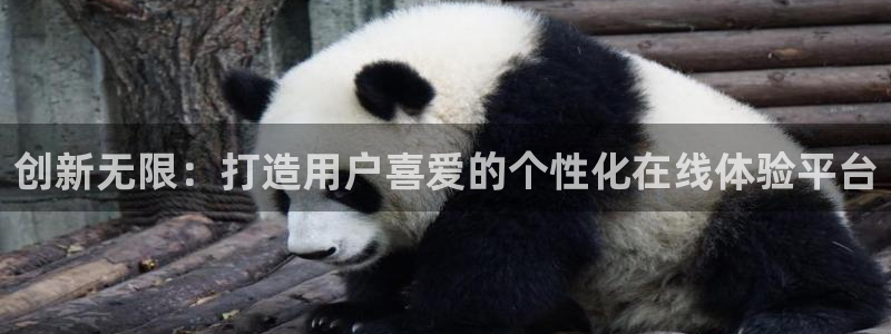 天狮娱乐彩票平台