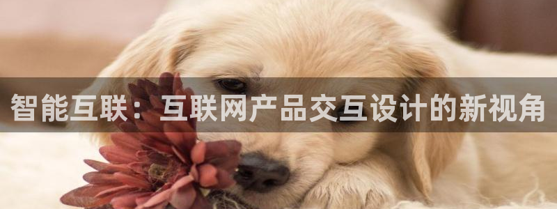 天狮娱乐骗局