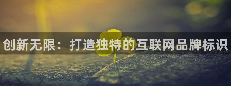 天狮娱乐主管汽车之家：创新无限