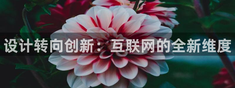 天狮娱乐下载网址：设计转向创新