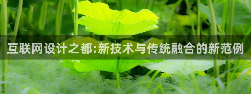 天狮娱乐哪里注册：互联网设计之