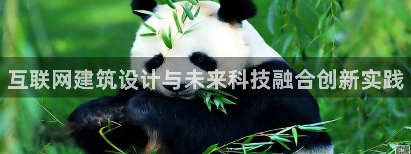 天狮娱乐 23976实z力