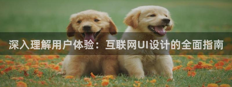 天狮娱乐注册开户