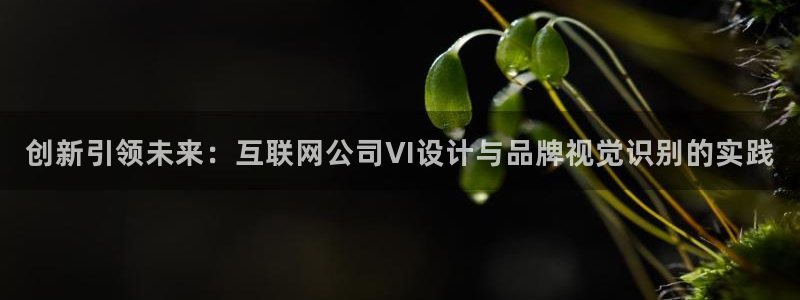 天狮娱乐i 判官